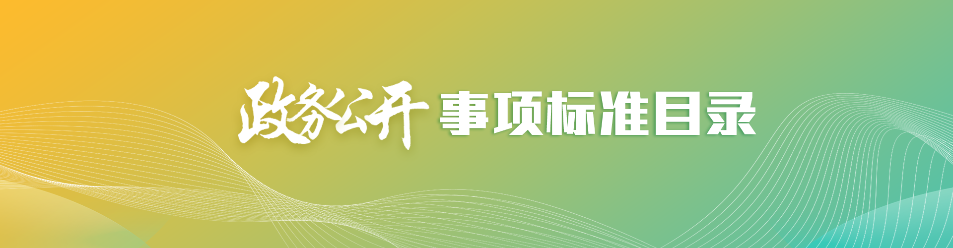 政务公开标准化规范化工作